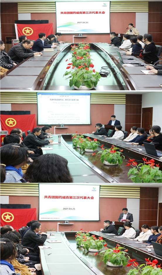 d467d222-4e03-4abb-9174-8f311e47a7c8.jpg